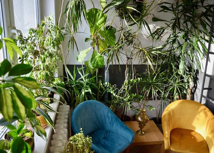 Milo Mi Homestay Karpacz