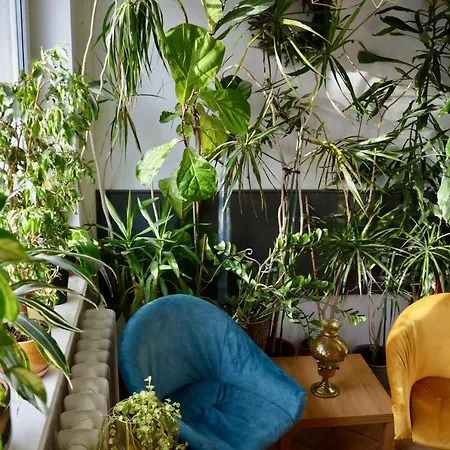 Milo Mi Habitación en casa particular Karpacz